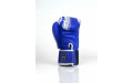 Боксерские перчатки TWINS Special FBGVL3-49 blue 14 oz
