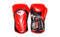Боксерские перчатки BGVL6 black-red 14 oz