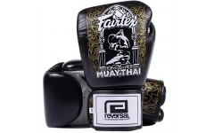 Боксерские перчатки Fairtex BGV premium Reversal 12 oz