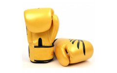 Боксерские перчатки Fairtex BGV1 Falcon 10 oz