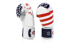 Боксерские перчатки Fairtex BGV1 USA 12 oz