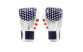Боксерские перчатки Fairtex BGV1 USA 14 oz