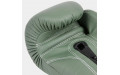 Боксерские перчатки Fairtex BGV11 F-DaY 10 oz