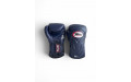 Боксерские перчатки Twins Special BGVL6 Navy/Navy 16 oz