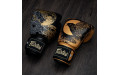Боксерские премиальные перчатки Fairtex BGV26 Harmony Six 16 oz