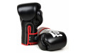 Боксерские перчатки Fairtex BGV14 black 12 oz