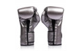 Боксерские перчатки Fairtex BGV9C-PLUS gun metallic 18 oz