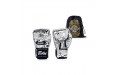 Перчатки для бокса Fairtex BGV-FIGHT STORY 16 oz