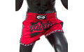 Шорты для бокса Fairtex BS1703 (красный-черный) S Шорты для бокса Fairtex BS1703 (красный-черный) S