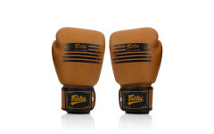 Боксерские перчатки Fairtex BGV21 LEGACY 10 oz