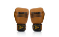 Боксерские перчатки Fairtex BGV21 LEGACY 12 oz