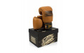 Боксерские перчатки Fairtex BGV21 LEGACY 12 oz