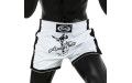 Шорты для бокса Fairtex BS1707 (белый) XL Шорты для бокса Fairtex BS1707 (белый) XL
