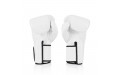 Боксерские перчатки Fairtex BGV5 white 10 oz