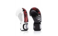 Боксерские премиальные перчатки Fairtex BGV24 12 oz