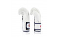Боксерские перчатки Fairtex BGV9 white 14 oz