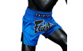 Шорты для бокса Fairtex BS1935 SAPPHIRE - 4XL