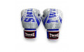 Боксёрские перчатки FBGVL3-TW5 white blue 12 oz