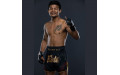 Шорты для бокса Fairtex BS1925 Mr.X - XL