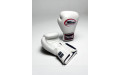 Боксерские перчатки Twins Special BGVL3 white 20 oz